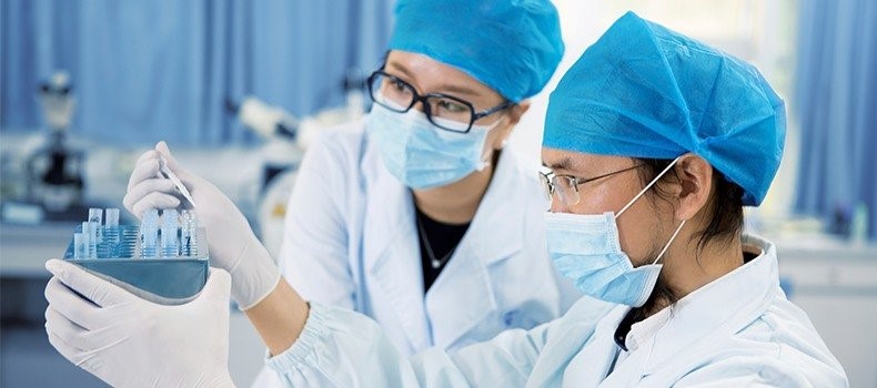  What Is A Phd Degree